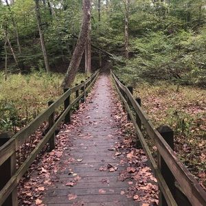 Meet your Posher, Clint